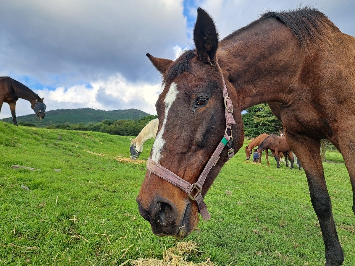 028d1b967400918d4568c73d8f6b6d01-1761808612.jpg 028d1b967400918d4568c73d8f6b6d01-1761808612.jpg